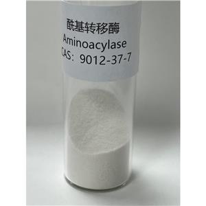 酰基转移酶,Aminoacylase