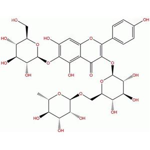 6-羟基山奈酚-3-O-芸香糖-6-O-葡萄糖苷，6-Hydroxykaempferol 3-Rutinoside -6-glucoside，145134-63-0