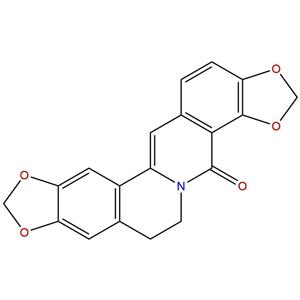 8-氧黄连碱，8-Oxycoptisine，19716-61-1
