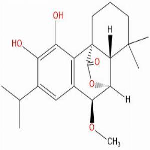 7-甲氧基迷迭香酚,7-O-Methylrosmanol