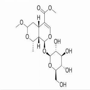 7-β-O-甲基莫诺苷，7-β-O-Methyl morroniside，119943-46-3