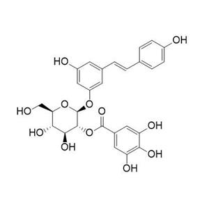 白藜芦醇-4'-O-β-D-(6''-O-没食子酰)葡萄糖苷，Resveratrol 4'-(6''-galloylglucoside)，64898-03-9