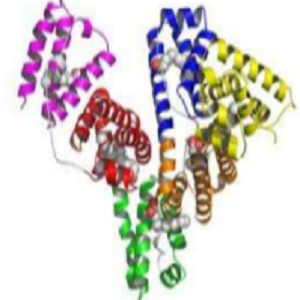 Podophyllotoxin-OVA Conjugate，鬼臼毒素-鸡卵清白蛋白偶联物