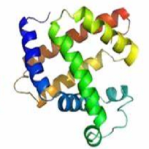 Genistin-OVA Conjugate，染料木苷-鸡卵清白蛋白偶联物