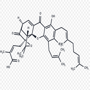 Neogambogic Acid-HRP，新藤黄酸-过氧化物酶标记物