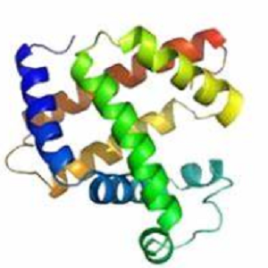 新藤黄酸-鸡卵清白蛋白偶联物,Neogambogic Acid-OVA Conjugate