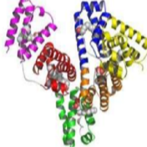 藤黄酸-鸡卵清白蛋白偶联物,Gambogic Acid-OVA Conjugate