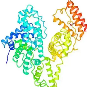 藤黄酸-牛血清白蛋白偶联物,Gambogic Acid-BSA Conjugate