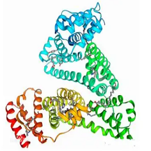 鼠尾草酸-牛血清白蛋白偶联物,Carnosic Acid-BSA Conjugate