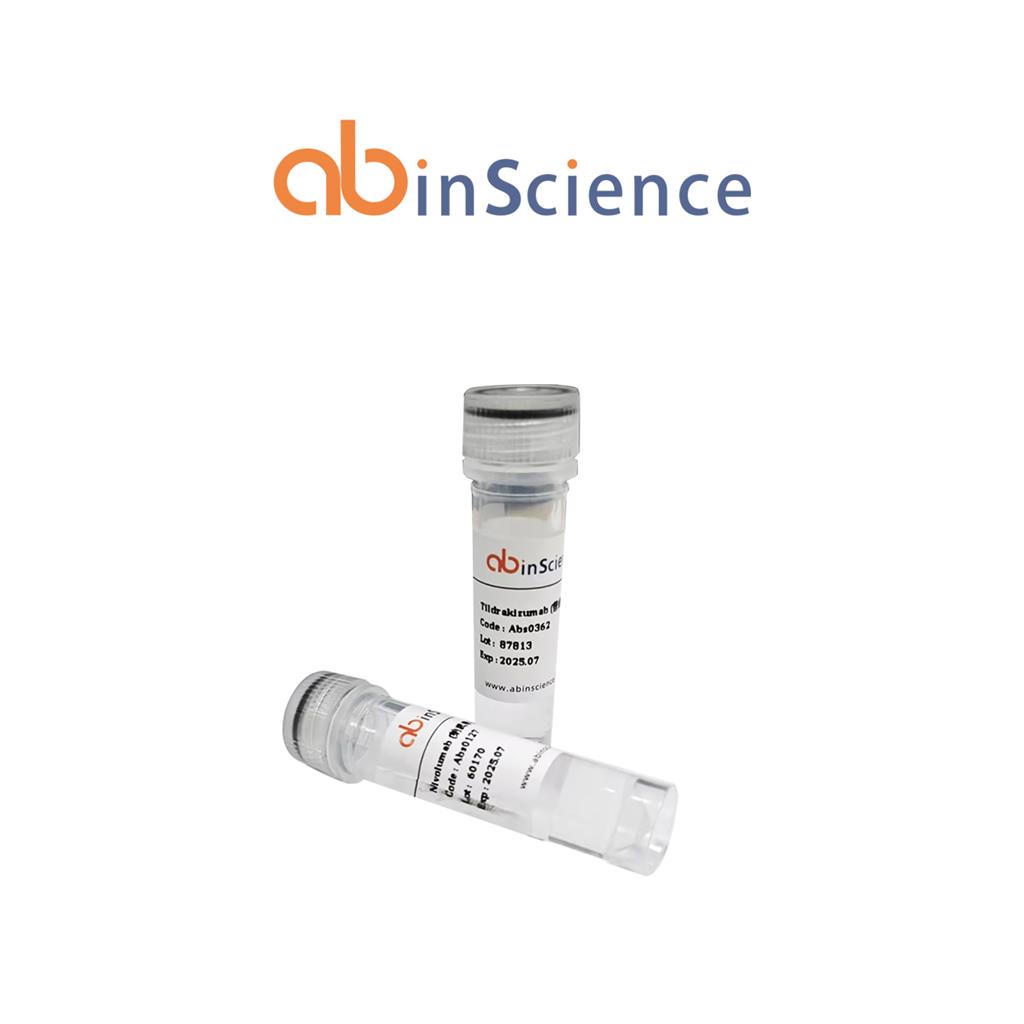 重组鸡Gal d II卵白蛋白/N端组氨酸标签蛋白,Recombinant Gallus gallus Gal d 2/OVA/Ovalbumin Protein, N-His