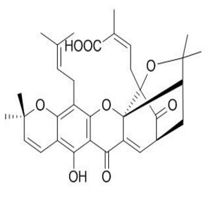 Gambogic Acid-HRP，藤黄酸-过氧化物酶标记物