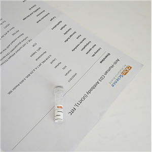 重组鸡Gal d II卵白蛋白/N端组氨酸标签蛋白,Recombinant Gallus gallus Gal d 2/OVA/Ovalbumin Protein, N-His