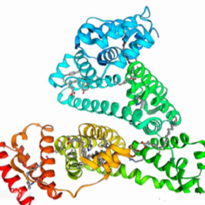Ferulic Acid-BSA Conjugate，阿魏酸-牛血清白蛋白偶联物