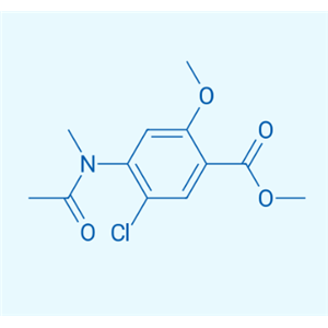 4-(乙酰甲基氨基)-5-氯-2-甲氧基苯甲酸甲酯,Methyl 5-chloro-2-methoxy-4-(N-methylacetamido)benzoate