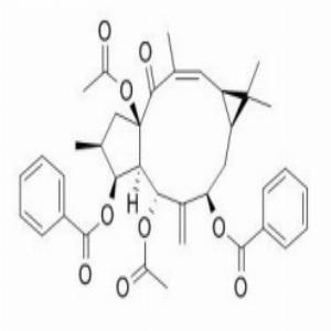 大戟因子L2,Euphorbia Factor L2