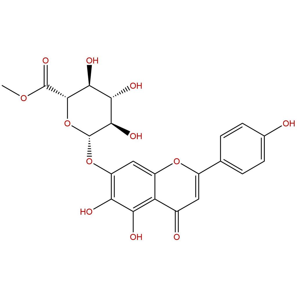 灯盏花乙素甲酯,Scutellarin methyl ester