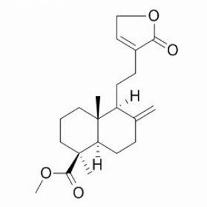 红松内酯,Pinusolide