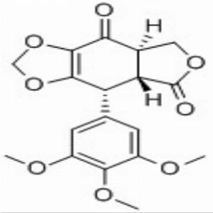 鬼臼毒酮,Podophyllotoxone