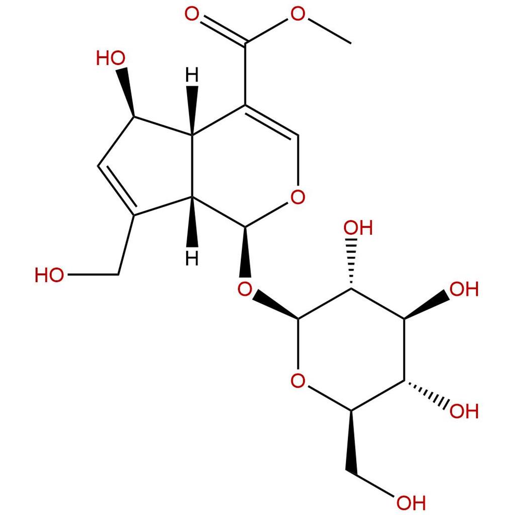 鸡屎藤次苷甲酯,Feretoside