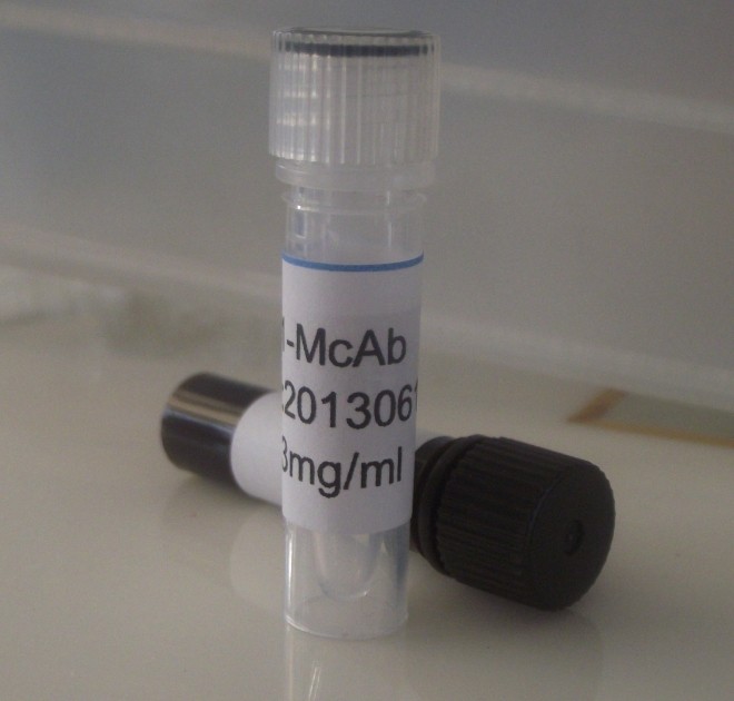 鼠抗小反刍兽疫（羊瘟）单克隆抗体,Small ruminant plague (sheep plague)