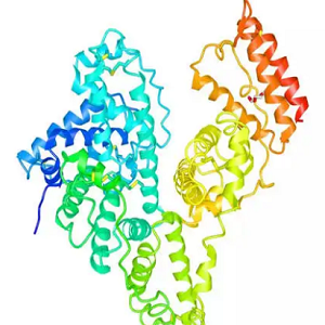 紫草酸-牛血清白蛋白偶联物,Lithospermic Acid-BSA Conjugate