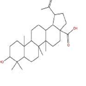 表白桦脂酸-过氧化物酶标记物,Epibetulinic Acid-HRP