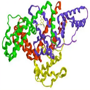 乙酸茶碱-鸡卵清白蛋白偶联物,Theophylline-7-acetic Acid-OVA Conjugate