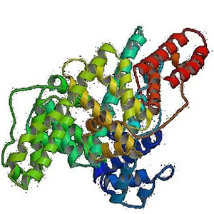 乙酸茶碱-牛血清白蛋白偶联物,Theophylline-7-acetic Acid-BSA Conjugate