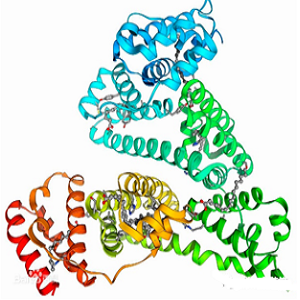 氟伐他汀-牛血清白蛋白偶联物,Fluvastatin-BSA Conjugate