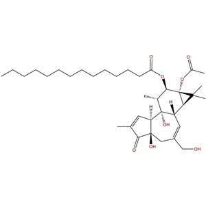 佛波醇12-十四酸酯13-乙酸酯,Phorbol 12-Myristate 13-acetate