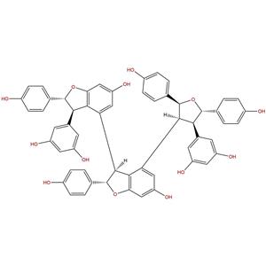 蒿草酚A,Kobophenol A