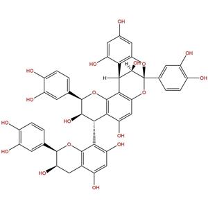 桂皮鞣质B1,Cinnamtannin B1
