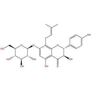 黄柏苷,Phellamurin