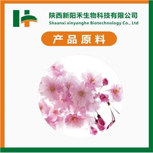 樱花粉,Cherry blossom Powder
