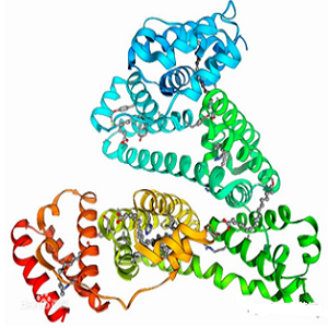 Boswellic Acid-OVA Conjugate，乳香酸-鸡卵清白蛋白偶联物