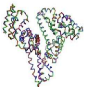 表白桦脂酸-鸡卵清白蛋白偶联物,Epibetulinic Acid-OVA Conjugate