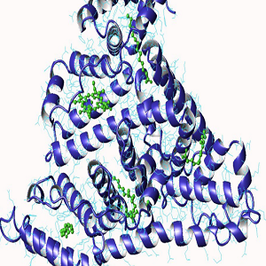 Acemetacin-BSA Conjugate，阿西美辛-牛血清白蛋白偶联物