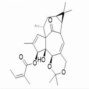 巨大戟醇5,20-缩丙酮3-当归酸酯,Ingenol 5,20-acetonide 3-angelate