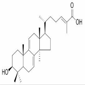 灵芝酸Y,Ganoderic acid Y