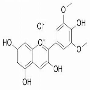 氯化锦葵素,Malvidin chloride