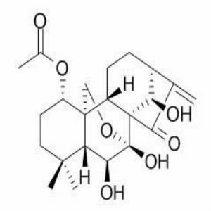毛栲利素,Lasiokaurin