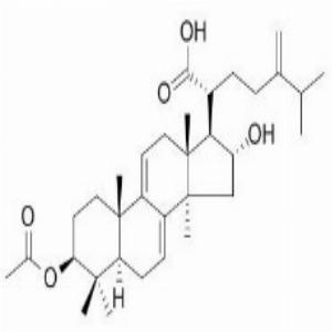 去氢茯苓酸,DehydropachyMic acid