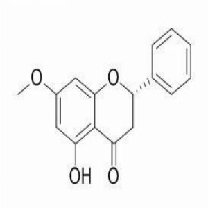 球松素,Pinostrobin