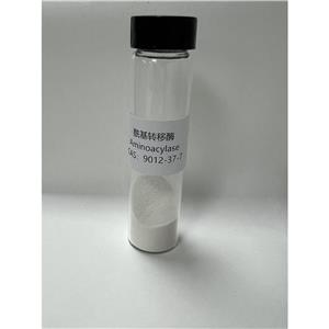 酰基转移酶,Aminoacylase