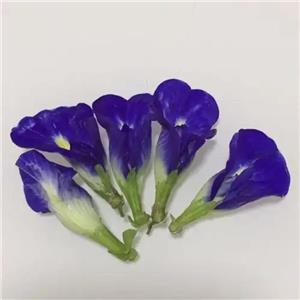 蝶豆花粉,butterfly pea powder