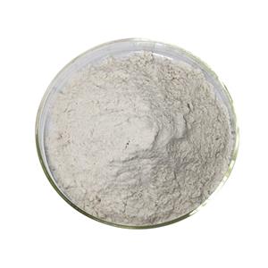 纳豆激酶,Nattokinase