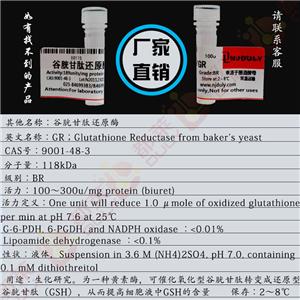 谷胱甘肽还原酶,GR