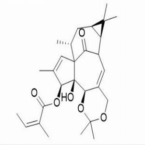 巨大戟醇5,20-缩丙酮3-当归酸酯,Ingenol 5,20-acetonide 3-angelate