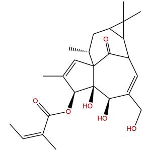 巨大戟醇-3-O-当归酸酯，Ingenol-3-angelate，75567-37-2