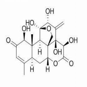 宽缨酮,Eurycomanone